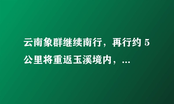 云南象群继续南行，再行约 5 公里将重返玉溪境内，这次象群北上造成多少人员、财产的损失？