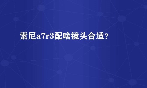 索尼a7r3配啥镜头合适？
