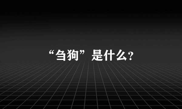 “刍狗”是什么？