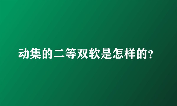动集的二等双软是怎样的？