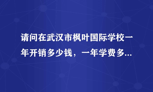 请问在武汉市枫叶国际学校一年开销多少钱，一年学费多少，出国留学要准备多少钱？
