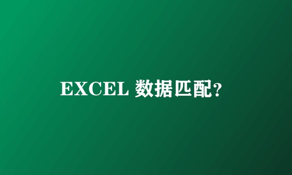 EXCEL 数据匹配？
