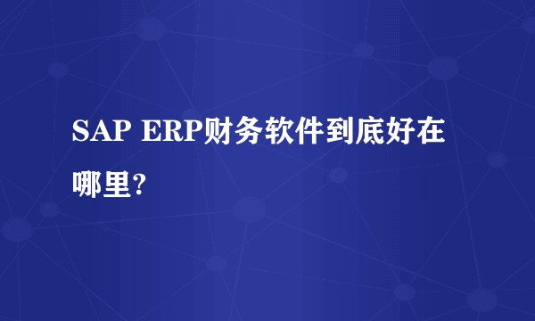 SAP ERP财务软件到底好在哪里?