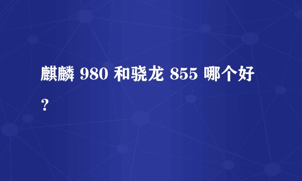 麒麟 980 和骁龙 855 哪个好？