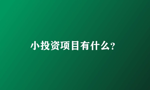 小投资项目有什么？