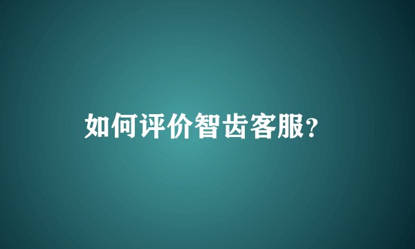 如何评价智齿客服？