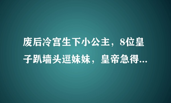 废后冷宫生下小公主，8位皇子趴墙头逗妹妹，皇帝急得在外直转圈。这是什么小说啊？
