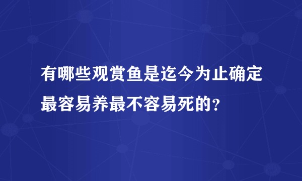 有哪些观赏鱼是迄今为止确定最容易养最不容易死的？