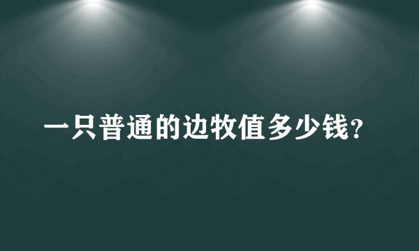 一只普通的边牧值多少钱？