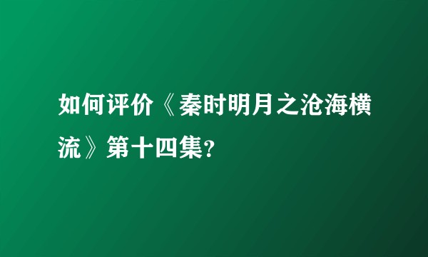 如何评价《秦时明月之沧海横流》第十四集？
