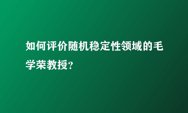 如何评价随机稳定性领域的毛学荣教授？