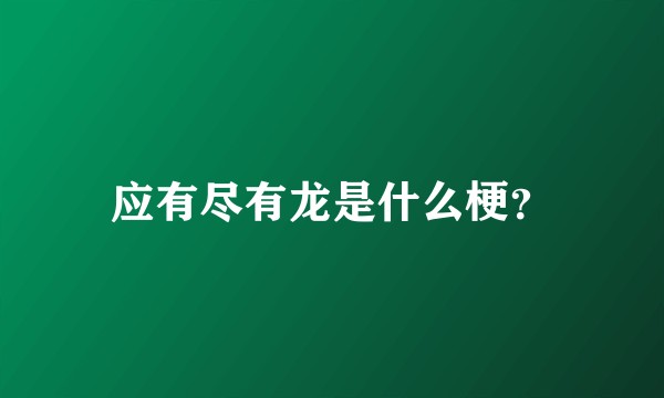 应有尽有龙是什么梗?