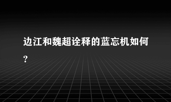 边江和魏超诠释的蓝忘机如何？