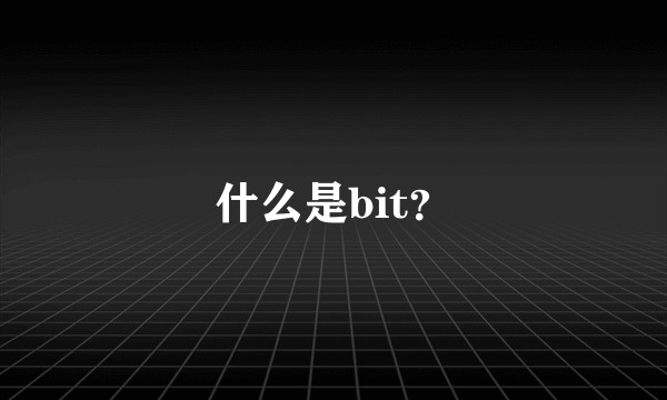什么是bit？