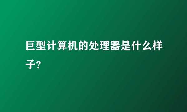 巨型计算机的处理器是什么样子？