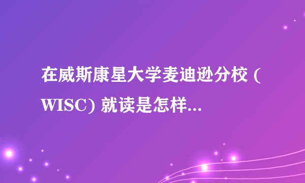 在威斯康星大学麦迪逊分校 (WISC) 就读是怎样一番体验？