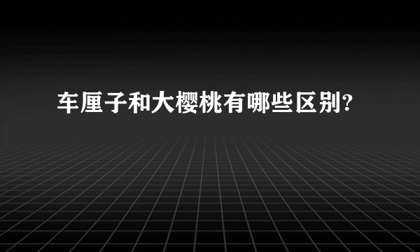 车厘子和大樱桃有哪些区别?